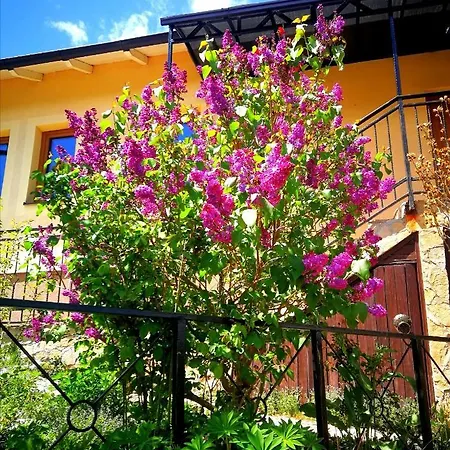 Paradise Garden Villa Sarajevo